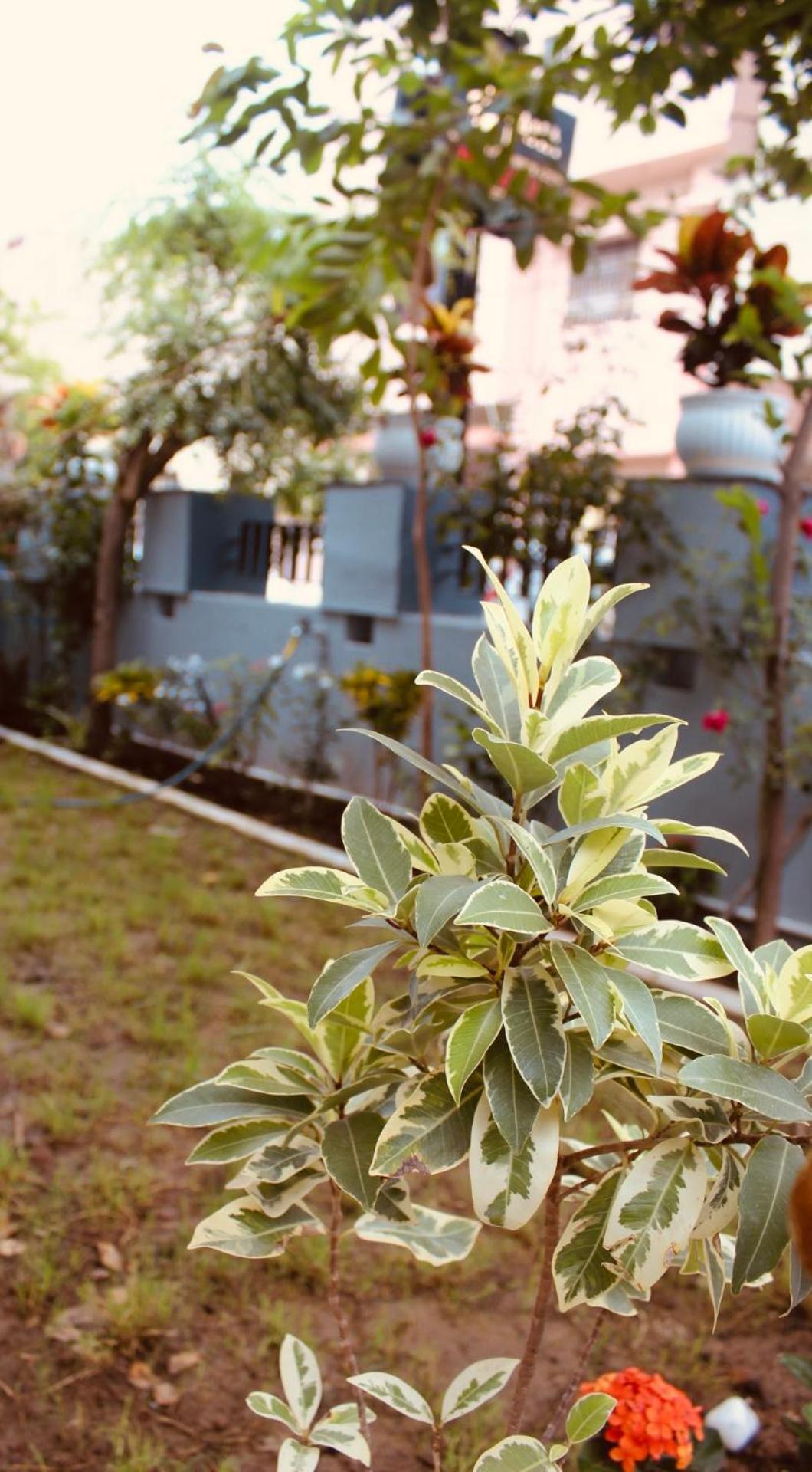 Aha Luxury Stay - 3Bhk Villa With Garden & Parking